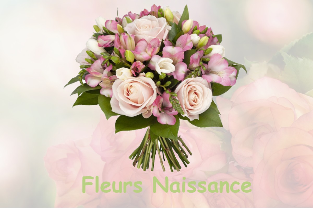 fleurs naissance HOUDELAINCOURT