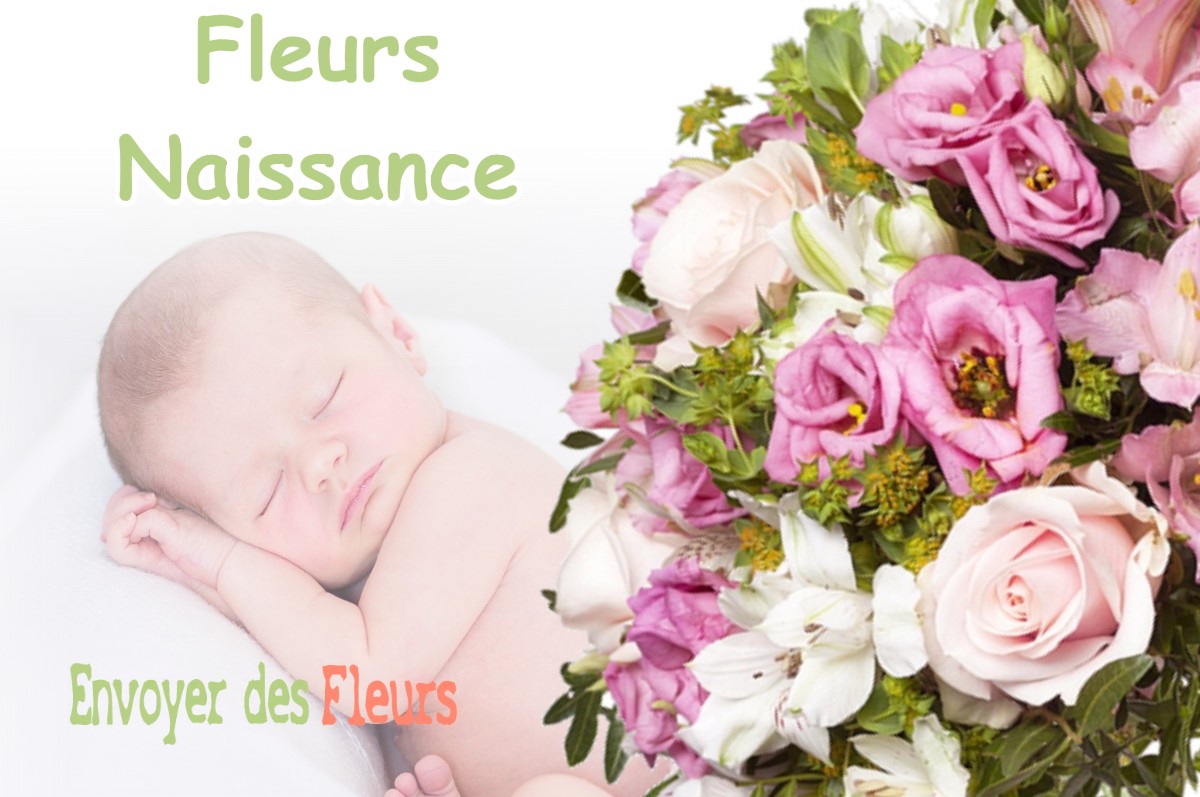 lIVRAISON FLEURS NAISSANCE à HOUDELAINCOURT